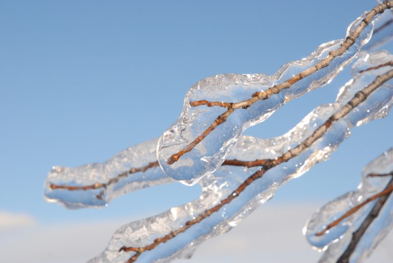 Freezing rain warning in effect in Haliburton County