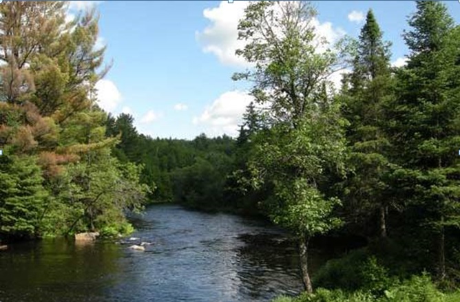Dahl Forest to be named a Canada 150 property