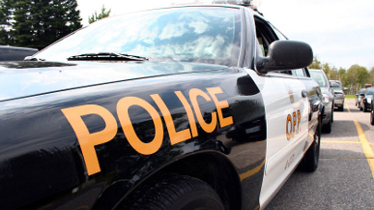 Update: Kawartha Lakes O.P.P. investigating after Fenelon Falls High School was locked down