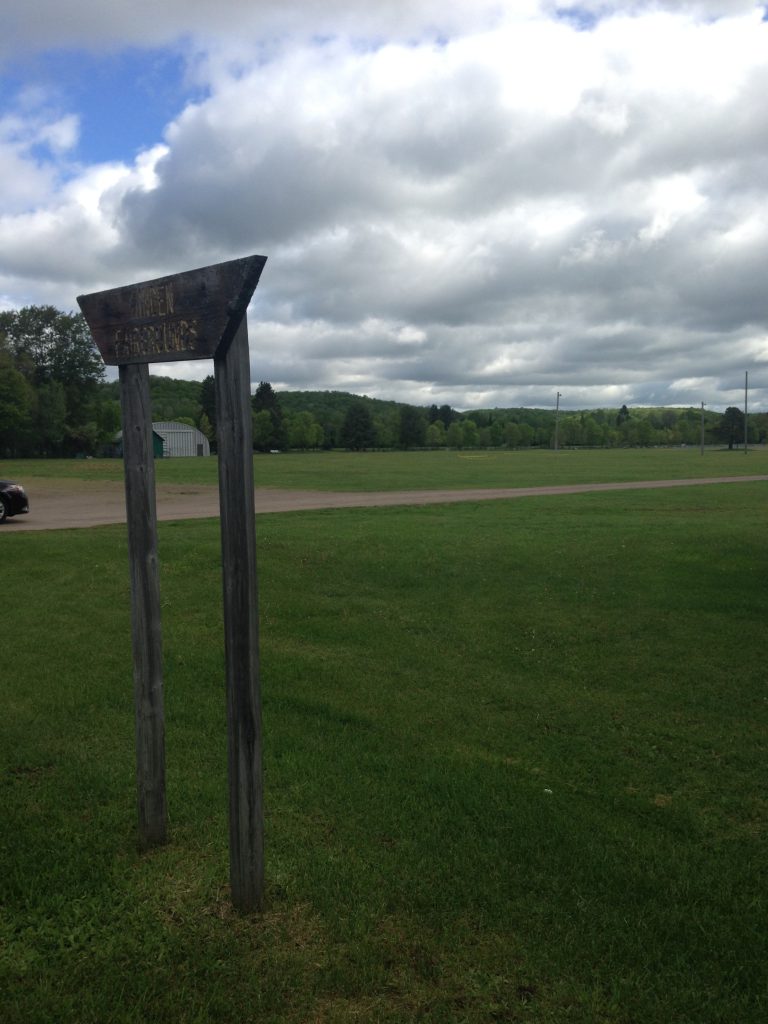 Minden Fairgrounds could be upgraded in the future