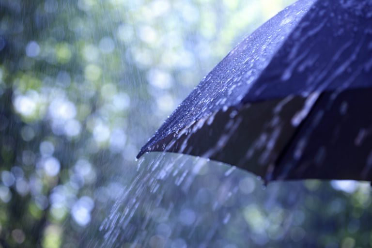 Wetter start to May after drier-than-average March and April