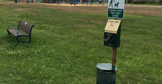 Dysart et al bylaw department says disposal stations doing a good job of keeping dog waste out of public areas