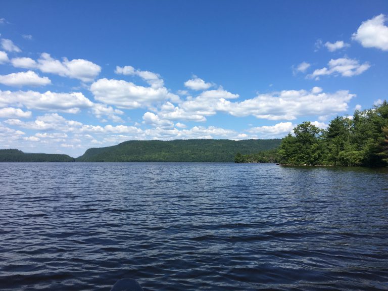 Blue-green algae in Lake of Two Rivers forces closure of public beaches at Algonquin Park