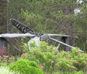 Cardiff to Celebrate 20th birthday of Dragonfly