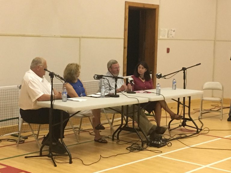 Wards One and Three the Focus of Algonquin Highlands All-Candidates Meeting