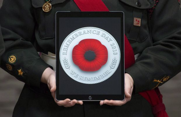 Digital Poppy Not at Odds with Traditional Poppy