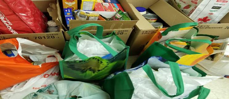 Find out where you can help at Haliburtoncares.ca