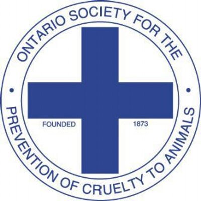 OSPCA changes could result in better service overall
