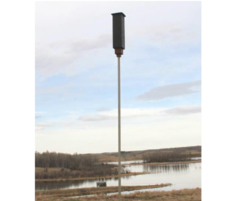 Local Girl Guides to install a bat box in Head Lake Park