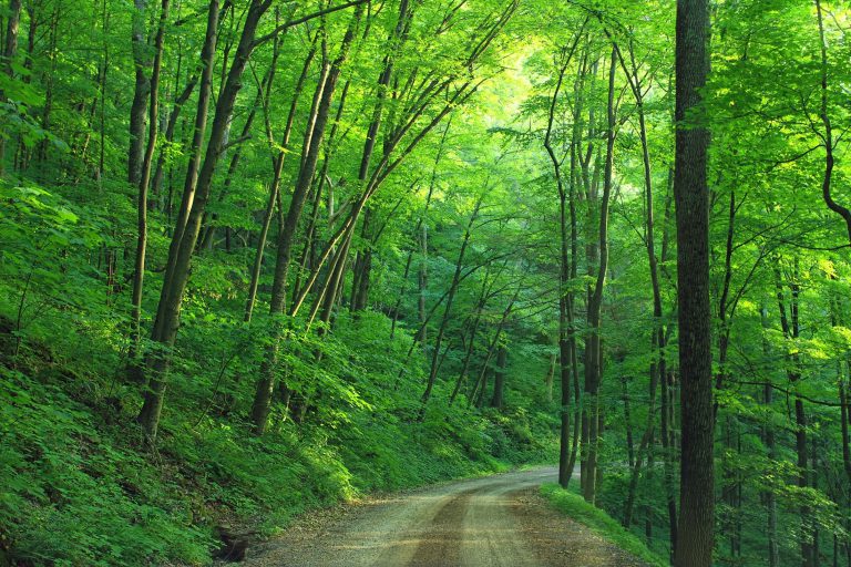 Highlands East offering Private Road Grant Program