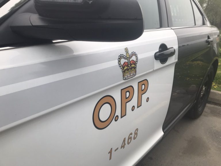 O.P.P. investigating fatal collision on County Road 503