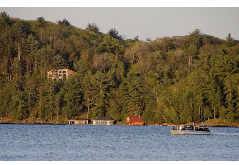 Cottage prices on the rise in 2019, despite flooding