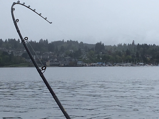 Free fishing extended to July 7th across Ontario
