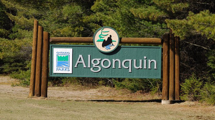 Algonquin Park campground closures extended, remains open for day use