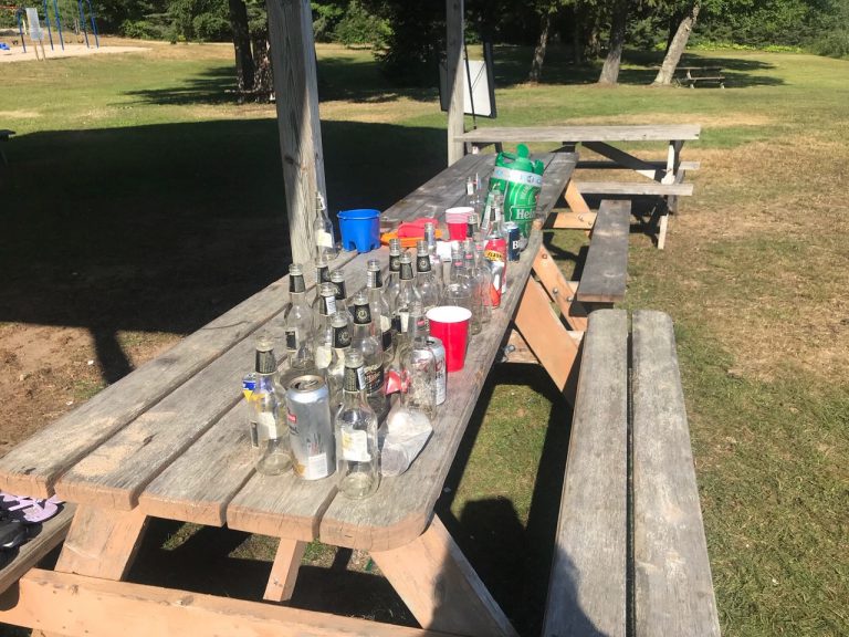 Haliburton Lake beach damaged during “disruptive party”