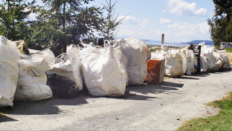 Haliburton cleanup day in talks