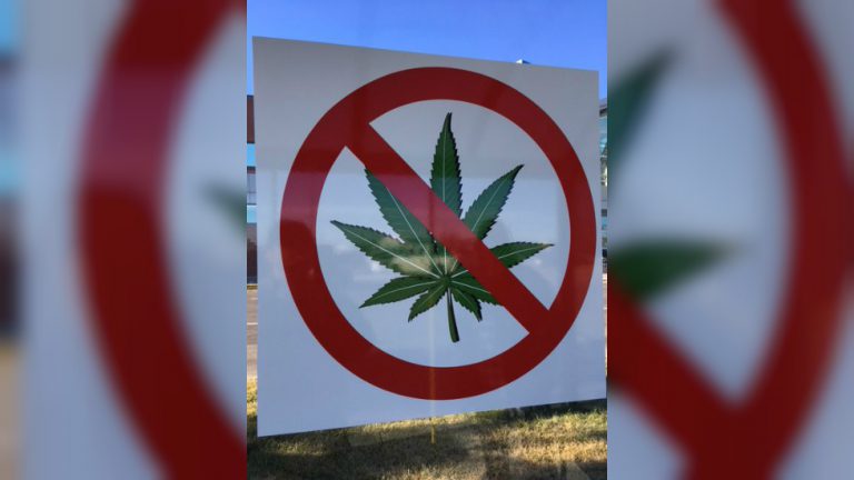 “Potapalooza” goes up in smoke for Dysart et al