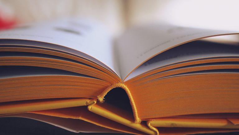 Haliburton library planning to use 3D printing for visually impaired patrons