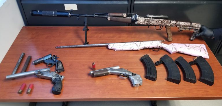 OPP seize firearms