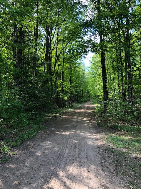 Friends of the Rail Trail want the trail to be recognized as a ‘linear park’