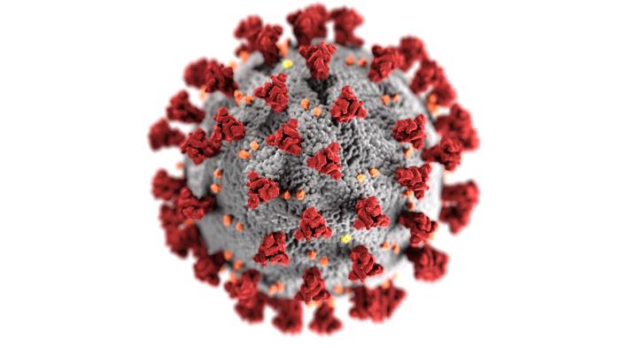 A new case of COVID-19 brings County total to date to 12