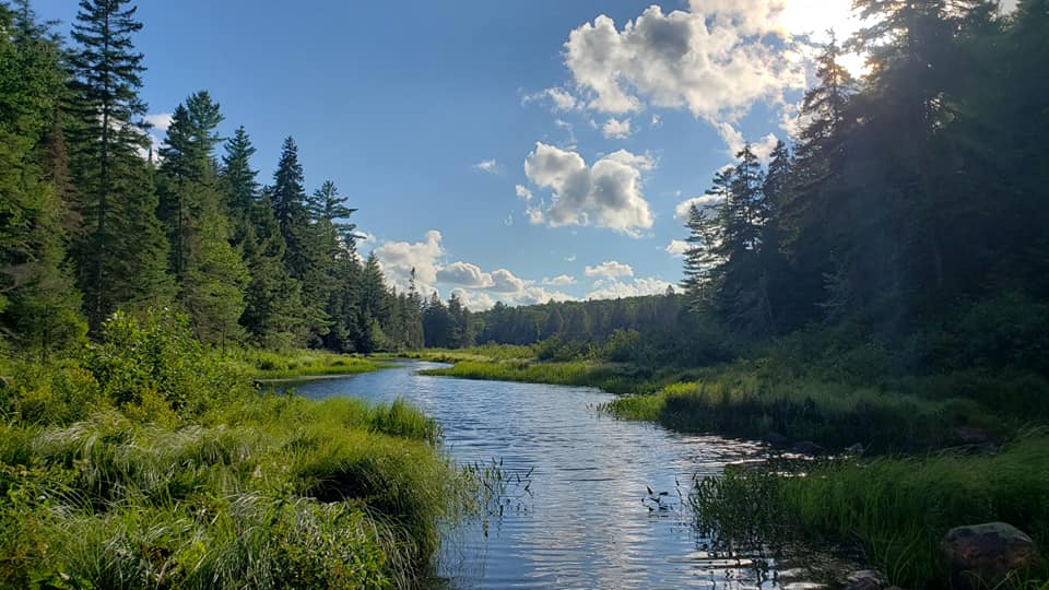 Yours Outdoors and Haliburton Forest Coming Together To Develop Local