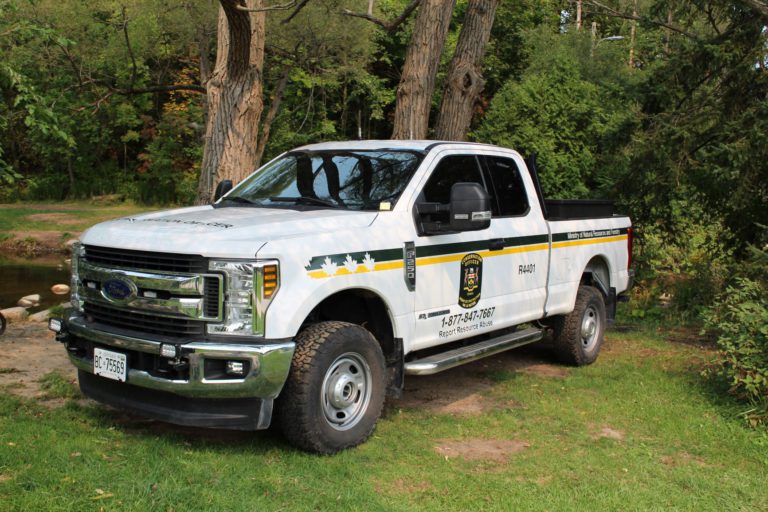 Mystery hunter being looked for after alleged illegal killing of a deer