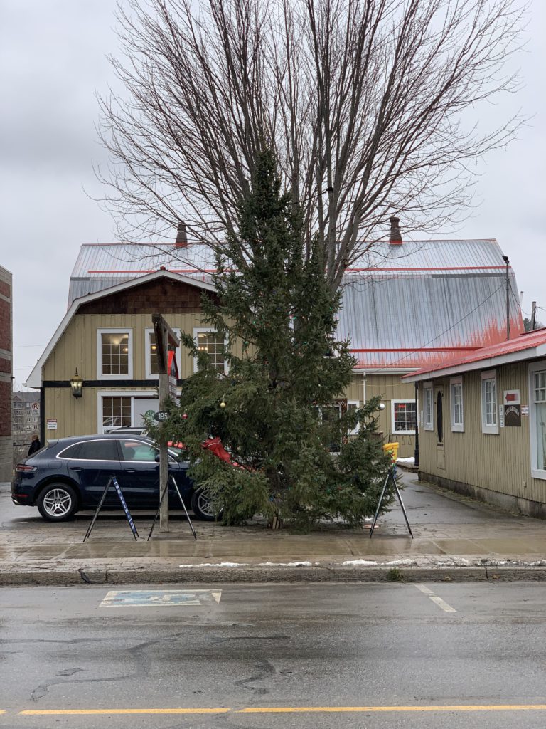 Haliburton Lion’s Club and BIA inviting residents to decorate town’s Christmas tree