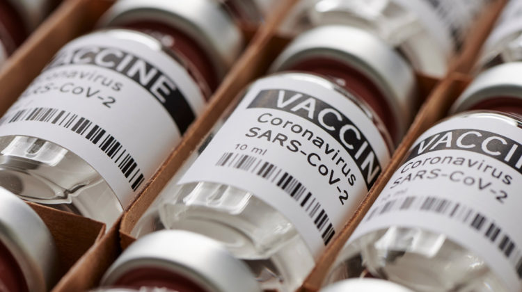 Province opens up vaccine appointments to all adults Tuesday