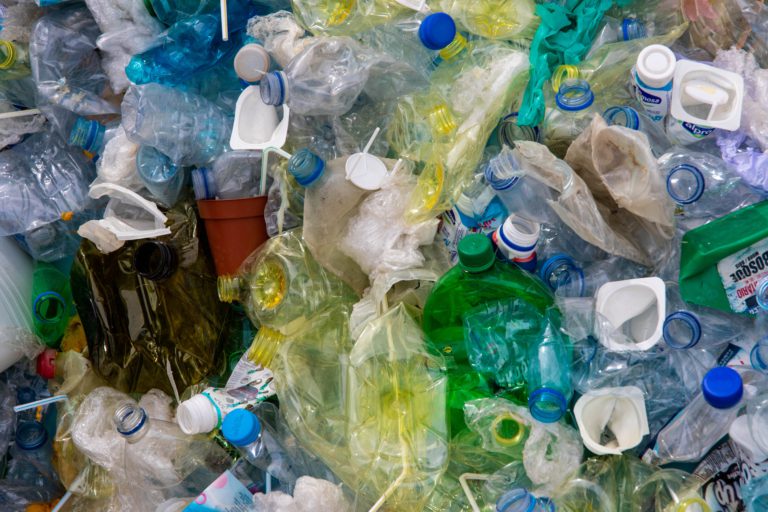 Haliburton County launches waste wizard app