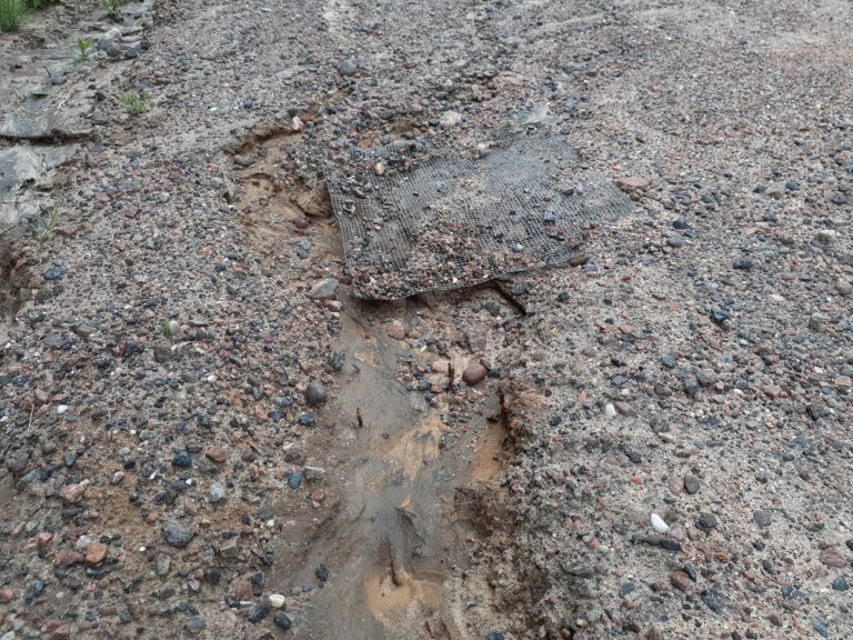 Recent rains wreaking havoc on turtle nests, according to activist