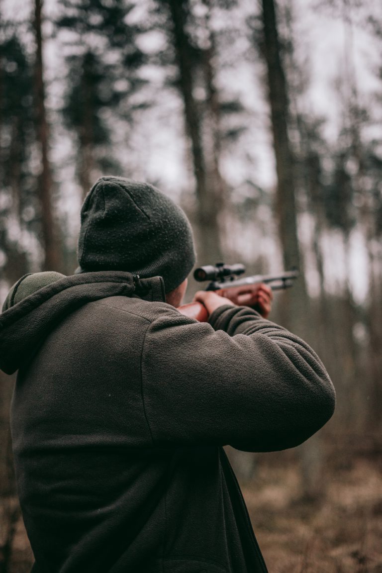 Hunter safety course now offered online