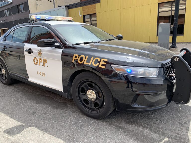 OPP’s “Fill a Cruiser” to support food banks in Haliburton, Minden