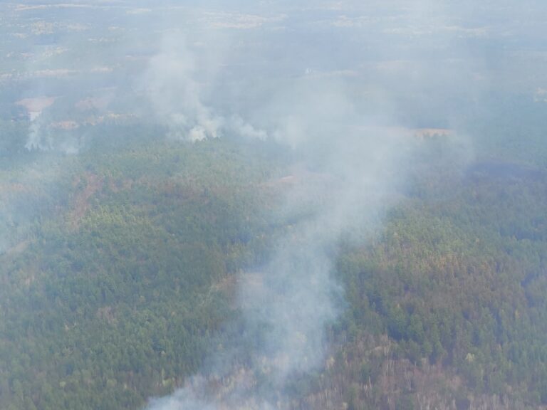 Restricted Fire Zone still in place despite rain