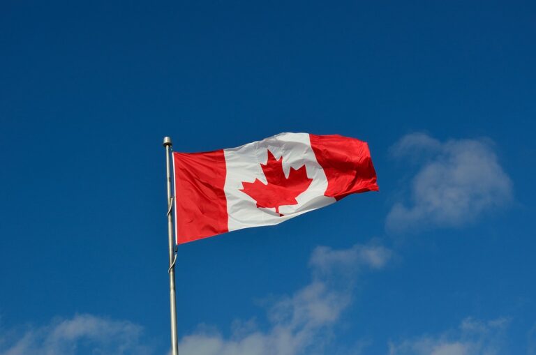 Canadian Chamber details how tariffs would impact your wallet 