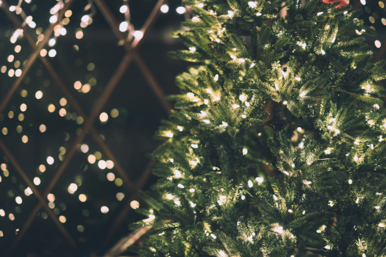 White Christmas unlikely in region: Environment Canada 