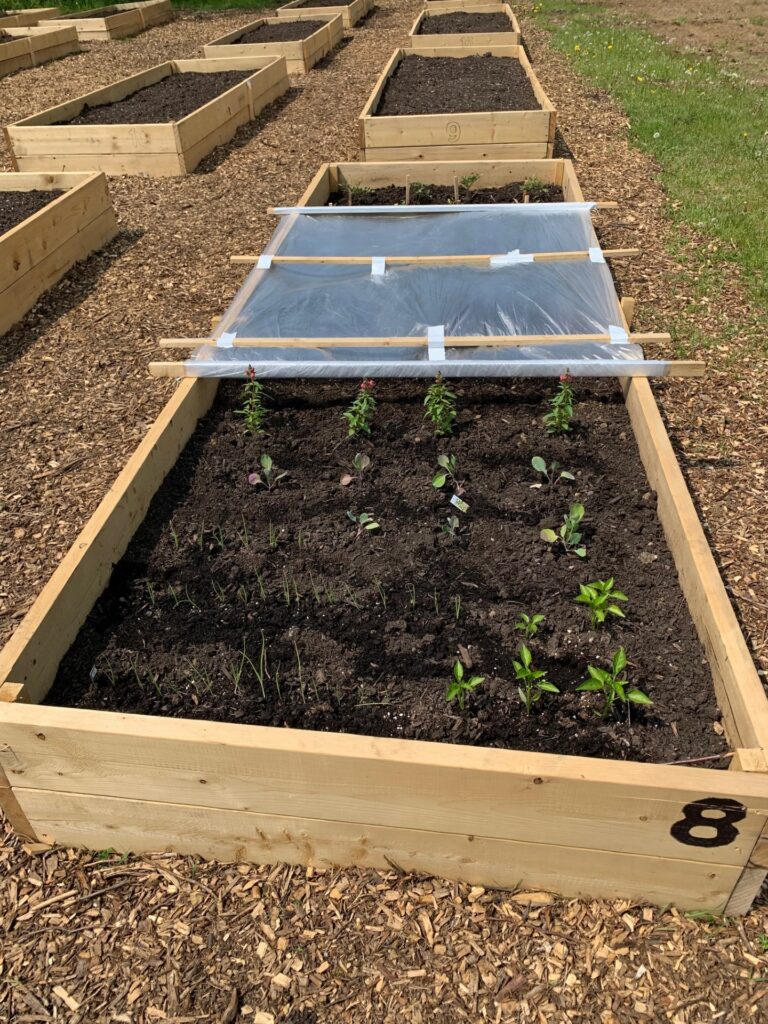 Minden Community Garden gearing up for second season 