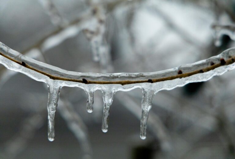 Significant Weather Event declared in the area