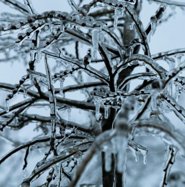 Minden Hills Township declares State of Emergency