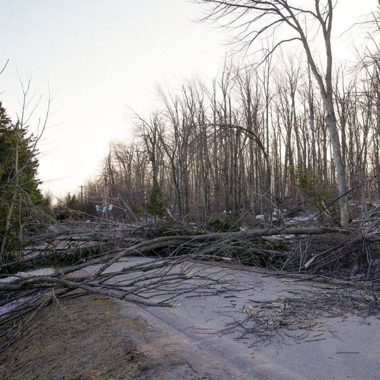 Hydro One launches Ice Storm 2025 Recovery Grant 