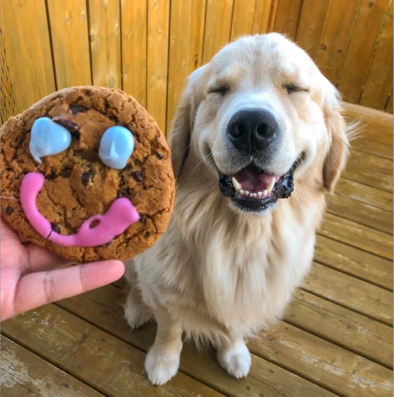 Smile Cookies to support Central Food Network